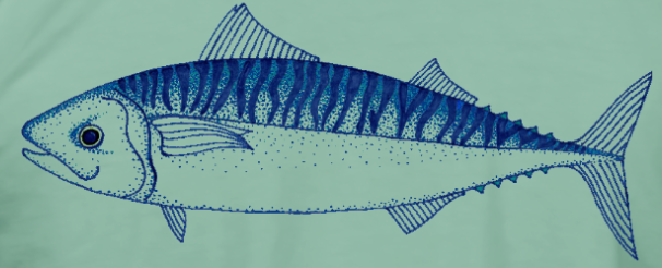 Mackerel design