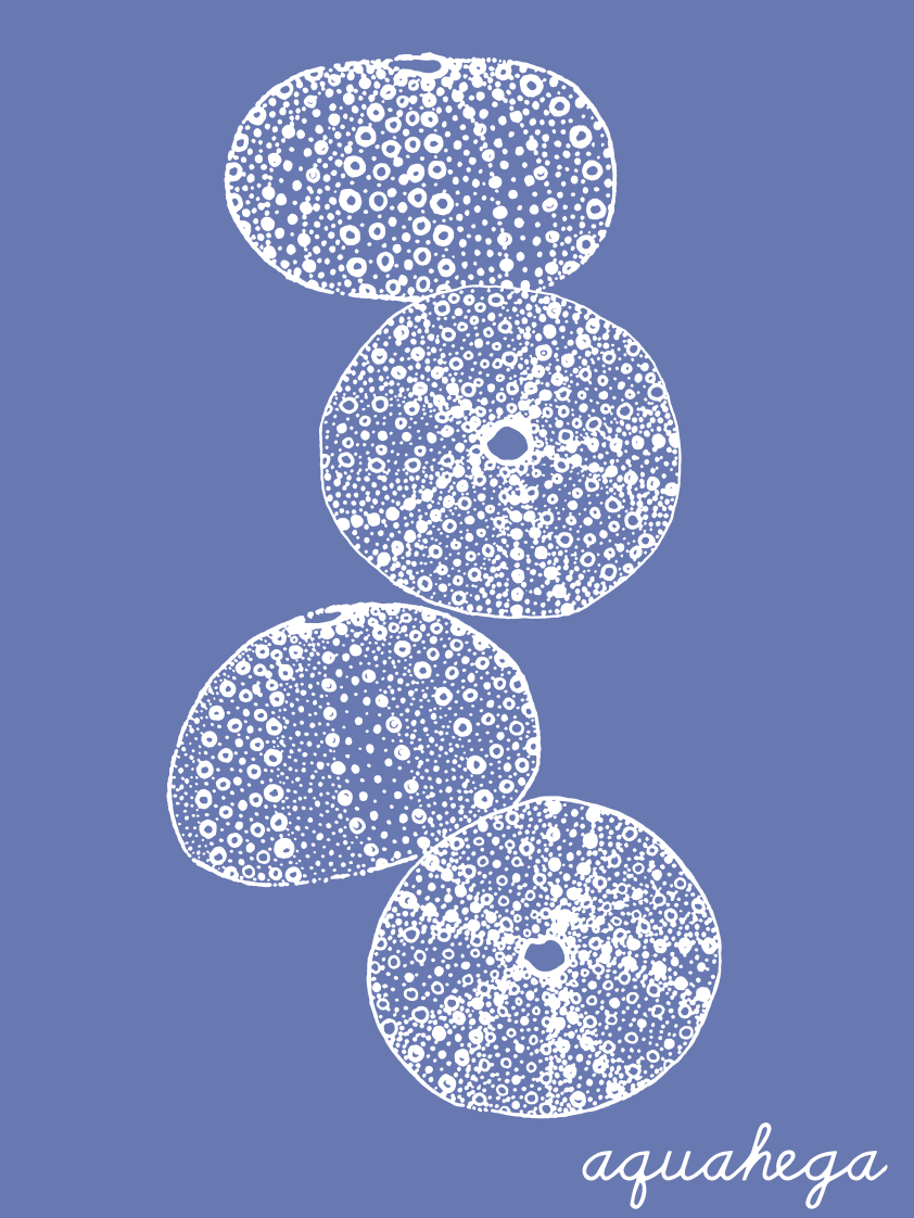 Urchin design